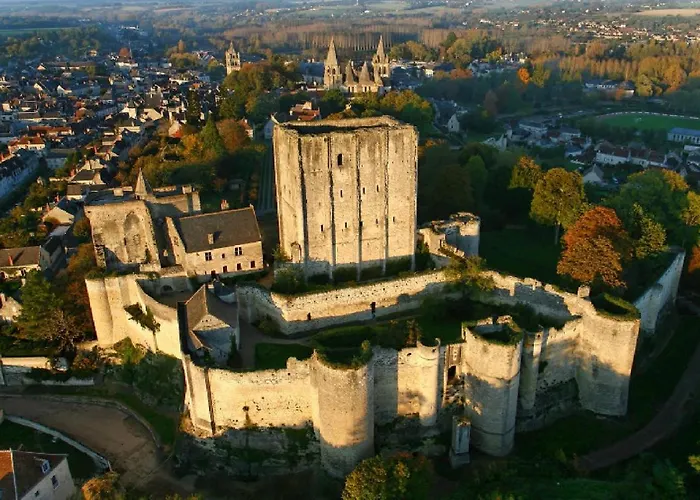 Hôtel accueillant les animaux: Logis Luccotel Cosy