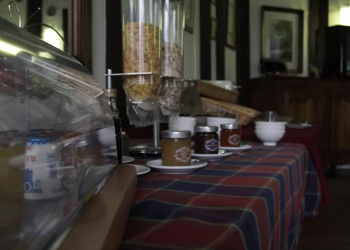 Hôtel accueillant les animaux: Hôtel de l'Europe Tours